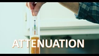 Attenuation Explained  Beer Physics [upl. by Aspia123]