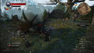 Witcher 3 Wild Hunt Morvudd Boss fight [upl. by Eilhsa416]