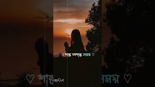 borbaad hoyechi ami songtitle banglasong shorts short [upl. by Alracal]