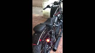 1275 Sportster 48 100hp Cold Start [upl. by Peirce]