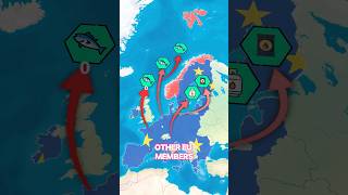 Norway rejected the EU🇪🇺😮 [upl. by Consolata]