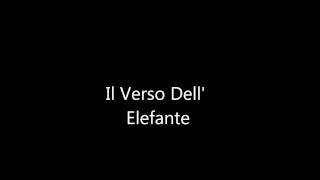 Il Verso DellElefante Video Interattivo [upl. by Anabahs693]