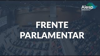 Lançamento da Frente Parlamentar da Terceira Via do Sistema AnchietaImigrantes [upl. by Mada]