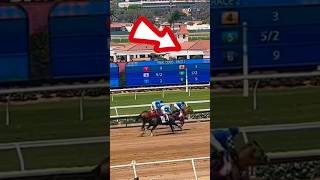 Del Mar World’s RICHEST Horse Races shorts shortsviral delmar california [upl. by Mohl]