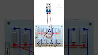 6 Socket 1 Fuse 6 Switch Wiring shortsshortsfeedwiringtecnicelectricalinstallationelectrician [upl. by Aiciram57]