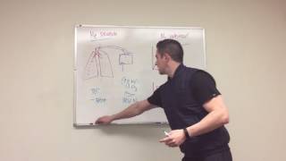 Helium Dilution and Nitrogen Washout Explained [upl. by Schonfeld]