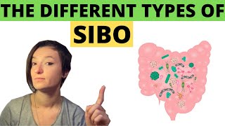 SIBO Hydrogen Sulfide How to get rid of it FOR GOOD [upl. by Llerraf]