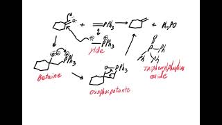 Wittig reaction mechanism [upl. by Atinra]