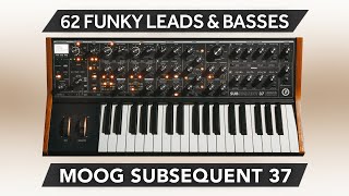 MOOG SUB 37  SUBSEQUENT 37 ♫ 62 Custom Sounds ► FUNKY LEADS amp BASSES [upl. by Tullius]