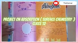 Chemistry Project on Adsorption  Surface Chemistry  Class 12 [upl. by Sillyhp836]