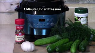 Pressure Cooker Dill Pickles Plus Gherkins No Canning Method [upl. by Lecram]