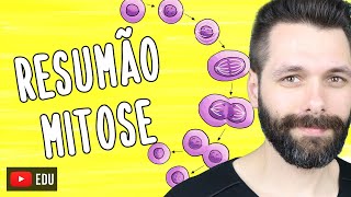 RESUMO sobre MITOSE  Biologia com Samuel Cunha [upl. by Nedmac]