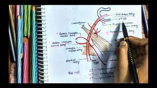 Axillary Artery Anatomy  Origin  Parts  Branches  Relations  Upperlimb Artery  Easy [upl. by Viviana]