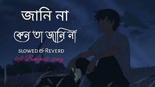 Jani Na keno Ta Jani Na। slowedReverd। Lofi song 💔 [upl. by Leandro]