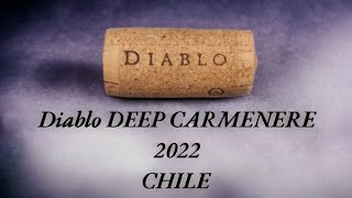 EL NUEVO VINO CASILLERO DEEP CARMENERE 2022 CHILE [upl. by Htebasyle181]