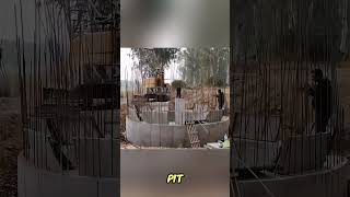 Workers Cheer During Well Construction as Concrete Sinksshortsfeed shortsviral shortsyoutube [upl. by Keir]