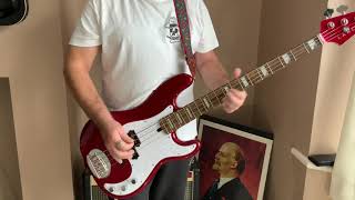 Hong Kong garden Siouxsie And The Banshees brief bass guitar lesson and cover by The Bass Punk [upl. by Robina]