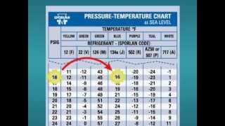 How to Use a PT Chart [upl. by Anyek]