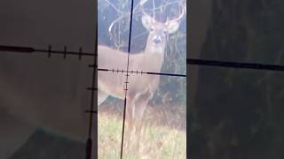 Scope cam vs 9pt buck deerhunting bigbuck hunting scopemount shorts last year hunt [upl. by Raynard]