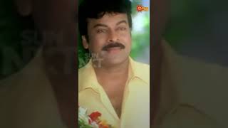 🤣 Shankar Dada MBBS  Chiranjeevi  Gemini Comedy [upl. by Allebasi60]