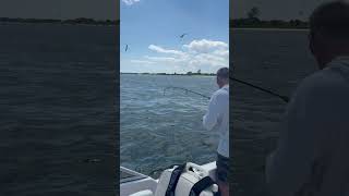 Catching bluefish at Barnegat Inlet fishing Barnegat bay for bluefish barnegatbay fishing [upl. by Vonni176]