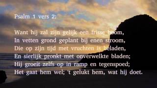 Psalm 1 vers 1 2 en 4  Welzalig hij die in der bozen raad [upl. by Sjoberg788]