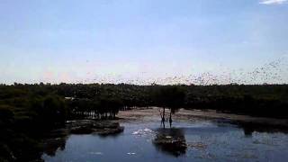 South of Aurukun QLD Ti Tree outstation [upl. by Burtis]