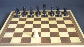 How Chess Pieces Move [upl. by Iarahs]