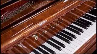 Bosendorfer 6 11quot Grand Piano Vintage Restored 1898 Model  Graves Piano  Columbus OH [upl. by Amato]