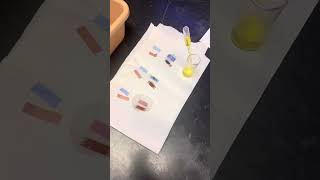 Acids and Bases Lab 8th Grade [upl. by Tizes140]