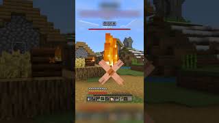 Pillager Raid in Minecraft village [upl. by Bick643]