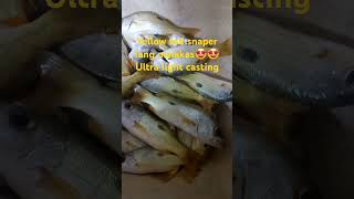 Ultra light casting swcc al hamra jubail😍😍 reelsvideo jubailbeach seafishing angler [upl. by Hcir480]