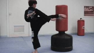 100 Taekwondo Speed Kicks in 66 Seconds  How Fast Can You Do It Take a Vote [upl. by Yrek]