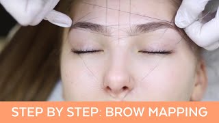 Brow Mapping Step By Step Training [upl. by Adyan]