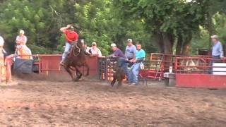 Roan Gelding in Training at TN Roping Horses  Video 2 [upl. by Dat]