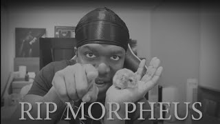 RIP Morpheus [upl. by Lance]