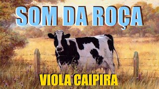 O Som Da Roça  De 01 HORA DE MODÃO DE VIOLA  Viola CaipiraSertanejo Raiz [upl. by Maxie]