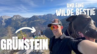 Auf dem Grünstein am Königssee I Wilde Bestie hat mich angesprungen [upl. by Kabab827]