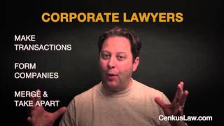 What is a Corporate Lawyer and What Do They Do [upl. by Ja246]