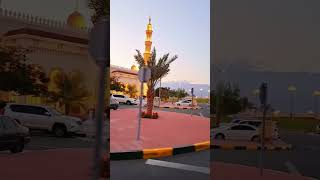 سجداً وقياما Prostrating and standing 2024 youtube [upl. by Macnamara]