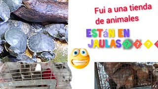 😱Muchos animalitos enjaulados 😓😱que triste [upl. by Haduhey]