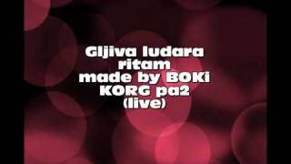 Gljiva ludara  BOKIBand  TEST ritam MADE BY BOKI na KORG pa2 LIVE [upl. by Ho173]