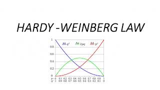 HARDYWEINBERG LAW MOST IMPORTANT TOPIC FOR CSIR NET EXAM EVOLUTION [upl. by Amri951]