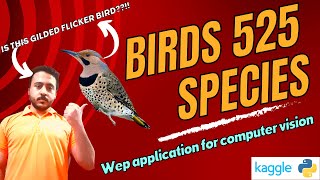 BIRDS 525 SPECIES IMAGE CLASSIFICATION  Web app شرح عربي [upl. by Ardeth]