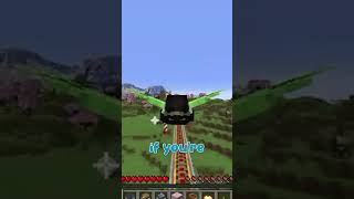 Minecarts are now Faster Than Elytras in Minecraft [upl. by Akinirt896]