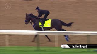 Kentucky Derby Contender Instilled Regard Gallops Thursday [upl. by Ynagoham447]