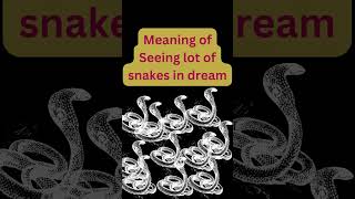 Meaning of Seeing lot of snakes in dream shortsfeed astrology snakedreammeaning dreammeaning [upl. by Alket]