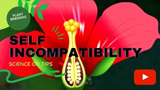 Self Incompatibility Pollination control method Full notes of Plant breeding [upl. by Leonidas215]