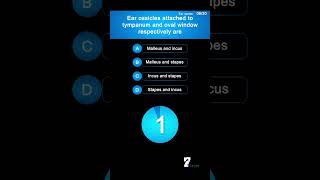 Ear ossicles attached to tympanum and oval window respectively are [upl. by Haseena]