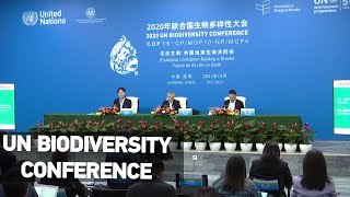 UN BIODIVERSITY CONFERENCE Chinas Kunming hosts COP 15 gathering [upl. by Nyladnek]